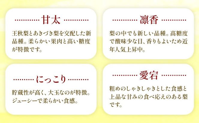 おまかせ梨 秀品 選べる内容量 約1.8kg 約5kg 約10kg 日本フルーツ《8月上旬-10月上旬頃出荷》熊本県 長洲町 なし 梨 果物 フルーツ デザート ギフト ご贈答 ---sn_cnfomn_ad810_r8_10000_1800g---