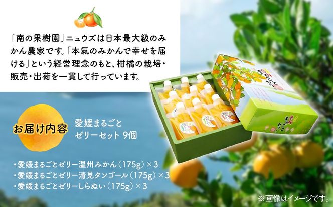 【皮までまるごと国産無添加】愛媛まるごとゼリーセット（9個） IKTF009