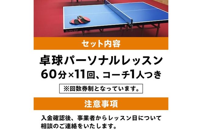 卓球パーソナルレッスン（60分×11回）コーチ１人【0075-004】
