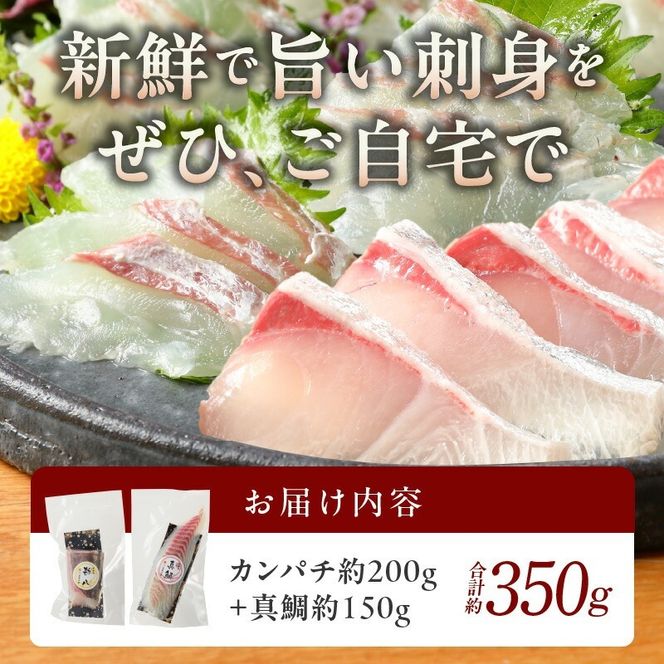 カンパチと真鯛の新鮮お刺身セット　少量お試しパック N019-YA193