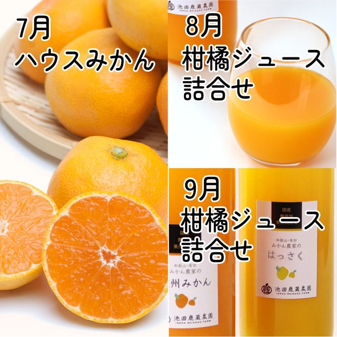 家庭用 柑橘定期便M（7～9月）全3回 ［IKE312］ 303446_BB90221