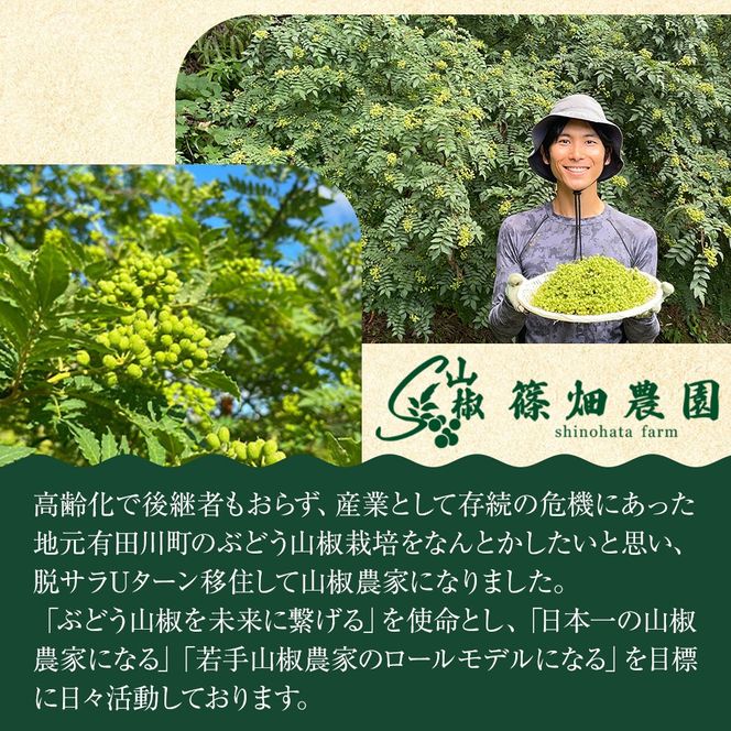 紀州ぶどう山椒【粉】 1袋 (6g) 篠畑農園    	EW02