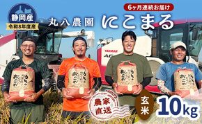 【予約】令和8年度産 静岡産 にこまる 玄米 定期便 10kg×6カ月 米 コメ にこまる 袋井市 静岡県