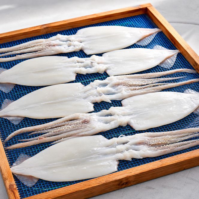 柔らか肉厚のスルメイカ一夜干し 3枚 魚貝類 イカ いか スルメイカ お酒 つまみ 特大 新鮮 保存 冷凍 国産 送料無料 酒の肴 酒のつまみ  myz02 myz09 myz11 myz17 myz23