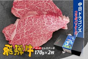 飛騨牛ヒレステーキ　340g(170g×2枚) 【中日ドラゴンズコラボ】 【0016-112】
