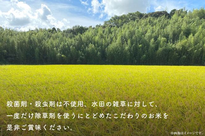 【先行予約】【2026年9月末より順次発送開始】【茨城県共通返礼品/潮来市】【12ヶ月定期便】栽培期間中出来るだけ農薬を減らしたかすみ米 5kg(白米)　茨城県潮来市産(BI-90)
