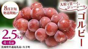 ゴルビー 2.5kg (4～6房)【2026年8月下旬発送開始】(茨城県共通返礼品：大子町) ぶどう 葡萄 ブドウ 果物 フルーツ 果実