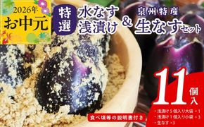 020C571t 【お中元対応】特選水なす浅漬け＆生なす 11個入り