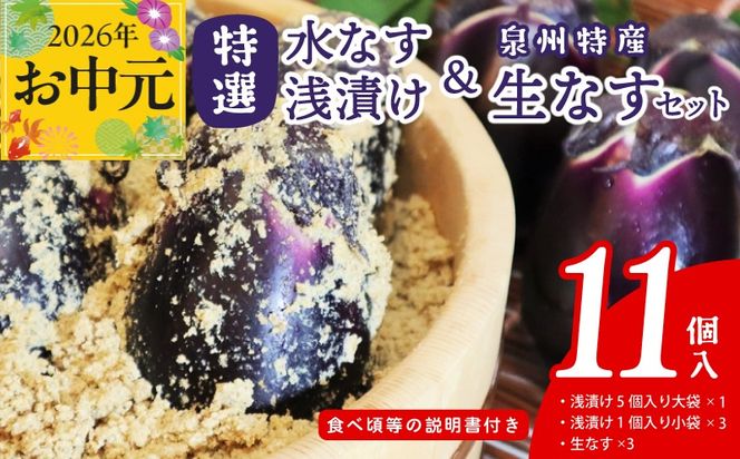 020C571t 【お中元対応】特選水なす浅漬け＆生なす 11個入り