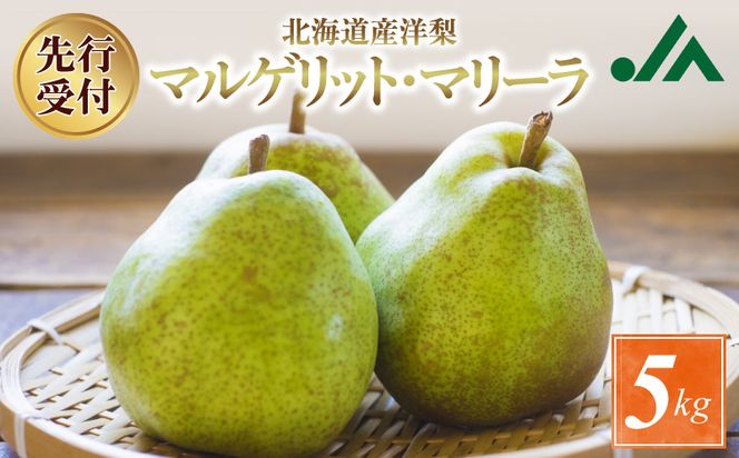 【先行受付：2026年9月中旬以降発送分】洋梨（マルゲリット・マリーラ）5kg_Y010-0655