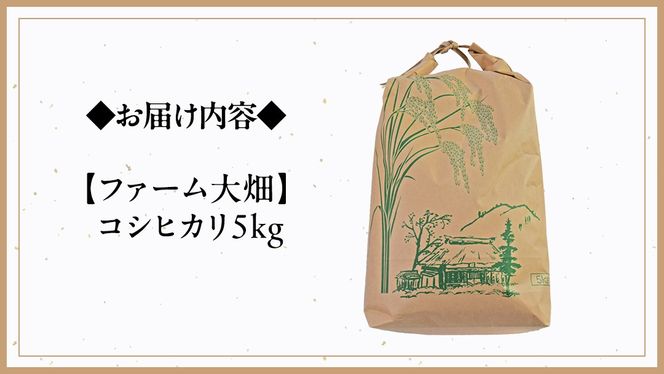 【 ファーム大畑 】コシヒカリ 5kg 米 お米 おこめ コメ GAP規範 [AK003ci]