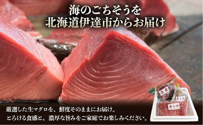 本マグロ（大トロ・中トロ・赤身）訳ありセット 1kg【ogm-025】