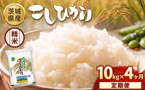 【定期便4ヶ月】【令和8年産】茨城コシヒカリ 10kg（5kg×2袋）【精米】 | お米 米 こしひかり 茨城県産 白米 ブランド米 小分け