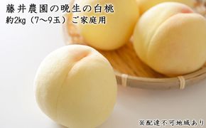 【2026年先行予約】 桃 岡山県産 ご家庭用 もも 2026年 先行予約 ご家庭用 晩生の白桃 約2kg（7～9玉）藤井農園 《2026年8月中旬～9月下旬頃出荷》  果物 岡山 里庄町 モモ