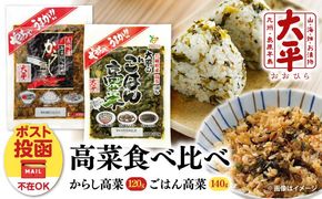 【長崎県産高菜100%使用】 高菜漬け 食べ比べ セット (からし高菜 120g ごはん高菜 140g) / 漬物 高菜 漬け物 ご飯のおとも 惣菜 / 南島原市 / 大平食品[SAK006]