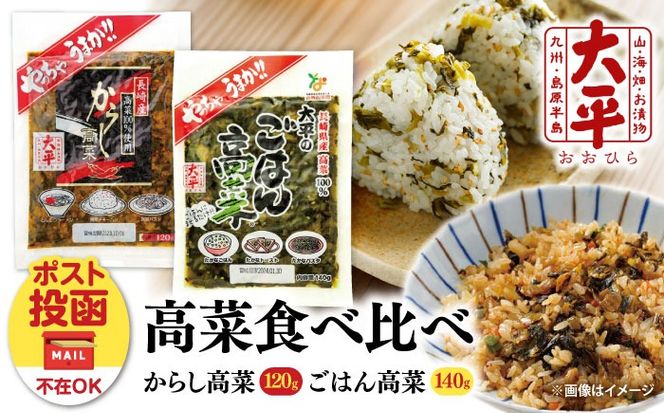 【長崎県産高菜100%使用】 高菜漬け 食べ比べ セット (からし高菜 120g ごはん高菜 140g) / 漬物 高菜 漬け物 ご飯のおとも 惣菜 / 南島原市 / 大平食品[SAK006]