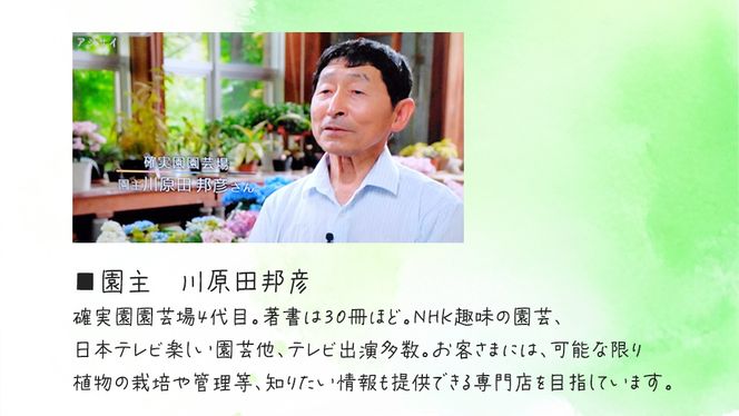 メディア出演多数のプロが厳選！季節の草花 【 春 】 詰め合わせセット（約20ポット） 花 花苗 ガーデニング 寄せ植え 花壇 プランター 確実園 確実園園芸場 川原田邦彦 ペチュニア マリーゴールド ガザニア 白妙菊 シロタエギク キンギョソウ ヒメキンギョソウ アルメリア アソート おまかせ