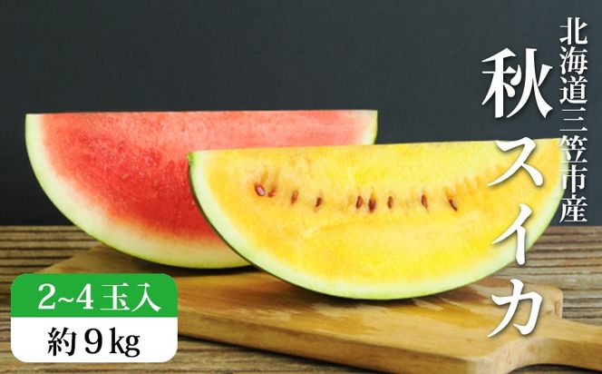 《2026年分受付中》秋に収穫される赤色スイカor黄色スイカ2～4玉(約9kg)【01149】