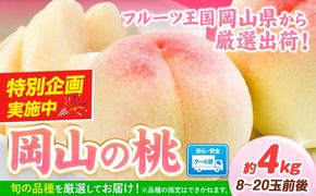 桃 岡山県産 岡山の桃 約4kg 内容量《最短翌日出荷！1-5営業日以内に出荷（土日祝除く）》 ご家庭用 訳あり 白桃 岡山 白桃 はくとう スイーツ フルーツ 果物 デザート 旬 岡山県 矢掛町 モモ もも 送料無料 清水白桃 白鳳 白麗---yakage_loc_24_h---