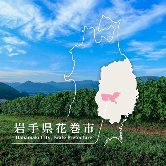 Vespinae（ベスピナエ）  2023 岩手シャルドネ 750ml×1本 【1699】