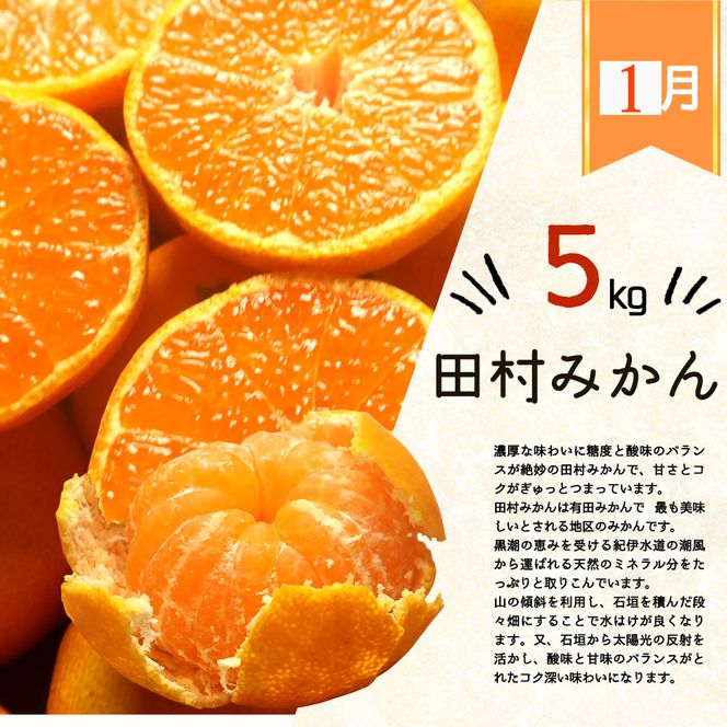 【3か月定期便】人気のみかんを集めた！旬の柑橘定期便 田村みかん・ポンカン・清見オレンジ【tkb111】