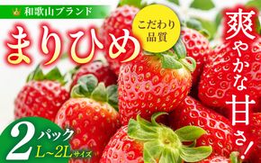 【先行予約】まりひめ いちご 12粒～15粒入り×2パック（500g）2027年1月中旬頃～2027年3月下旬頃に順次発送予定（お届け日指定不可）/ いちご 苺 まりひめ 和歌山 フルーツ 果物 くだもの【kgr007B】