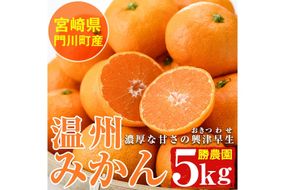 温州みかん興津早生≪おきつわせ≫(約5kg) ミカン 蜜柑 柑橘 果物 数量限定 期間限定 国産 フルーツ 常温 保存 宮崎県 門川町 遠見半島 【勝農園】【AE-23】