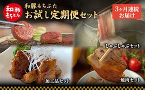 【定期便3回】和豚 もちぶた お試しセット 3ヶ月連続 こだわりのちょっと贅沢 ソーセージ 角煮 もち豚 豚肉 ポーク 肉 豚 ぶた ブタ 豚ロース 加工肉 レトルト レトルト食品 加工肉 アウトドア キャンプ バーベキュー