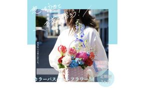 【CF-R7hbk】《3ヵ月定期便》季節の生花カラーバスケットフラワーM カラーバスケット 紙バンドバスケット フラワーバスケット 季節 手作り ブルースター トルコギキョウ お取り寄せ 生花 プレゼント 贈り物