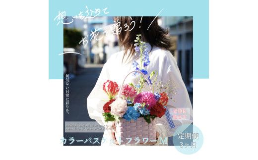 【CF-R7hbk】《3ヵ月定期便》季節の生花カラーバスケットフラワーM カラーバスケット 紙バンドバスケット フラワーバスケット 季節 手作り ブルースター トルコギキョウ お取り寄せ 生花 プレゼント 贈り物