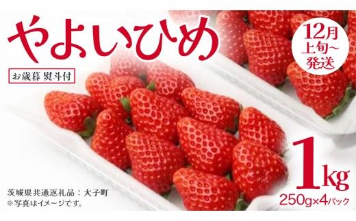 【 お歳暮 熨斗付き 】 やよいひめ 250g（8～12粒）×4パック (茨城県共通返礼品：大子町) いちご 苺 果物 フルーツ 果実 贈答用 ギフト 贈り物