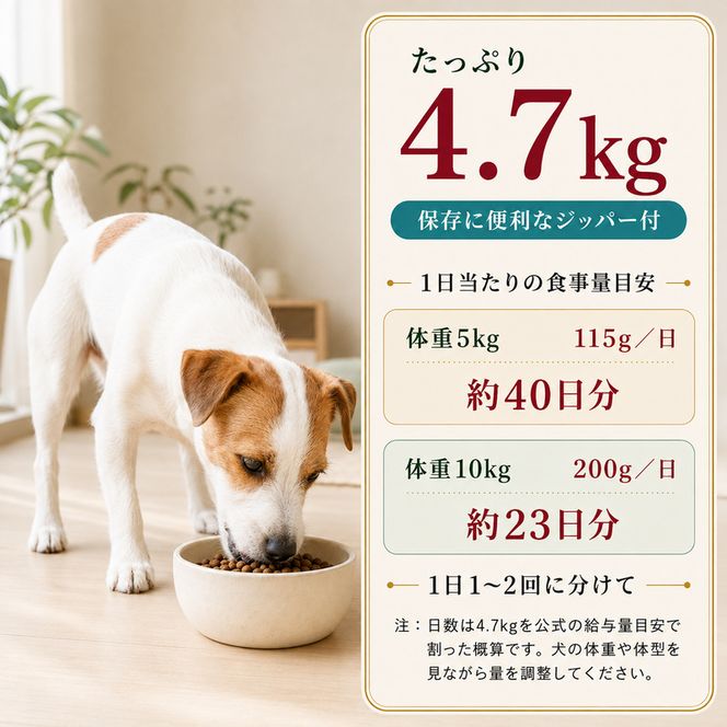 ビューティープロ ドッグ ダイエット 1歳から 4.7kg ｘ1(ケース単位) ドッグフード
