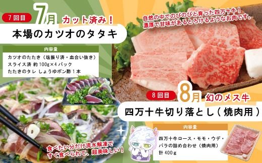 【 年末限定 】 8回 定期便 四万十 人気グルメ お楽しみ定期便 しまんと ふるさと定期便 10万円 Bコース 今だけ 鰻 牛肉 豚肉 パン 魚 タタキ カツオ うどん 柑橘 はるか フルーツ ケーキ ごちそう 贅沢 豪華 高知 四万十市 25-815