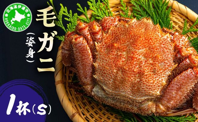 ykCɒBszуKjipgjSTCY 1 ogm-013