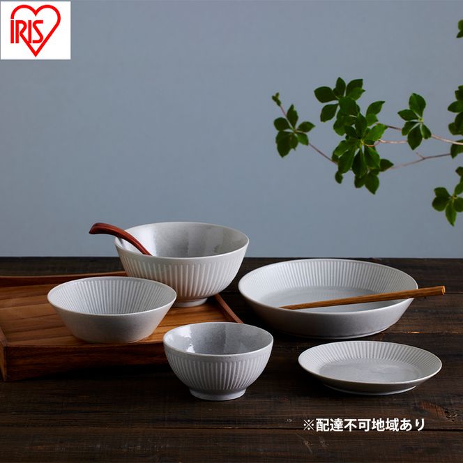 食器 5点セット MNW-5S グレー 電子レンジ 食洗器対応 磁器 新生活 アイリスオーヤマ 食器セット 