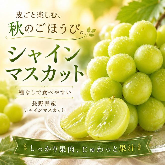 【2026年9月～発送】シャインマスカット約2kg 4～6房 長野県産