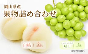 もも ぶどう 2026年 先行予約 詰合/白桃 2玉(1玉220g以上)・シャインマスカット 晴王  2房(1房480g以上) 化粧箱入り 岡山県産 国産 フルーツ 果物 ギフト