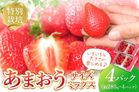 【先行予約受付中】【2026年12月以降順次発送】特別栽培あまおう4パック(サイズミックス)【うるう農園】_AS1968-00