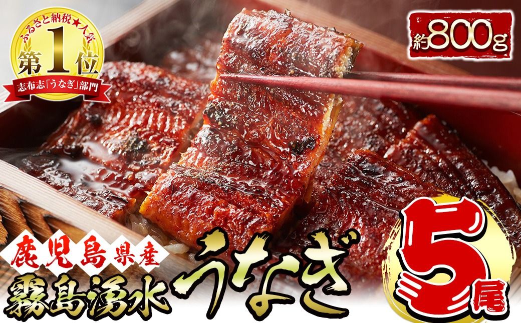 [2025年8月末までに配送][お礼の品人気No1]霧島湧水鰻の蒲焼き 160g以上×5尾[計800g以上] b8-038-08