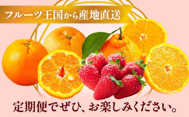 【発送月固定定期便】紀州和歌山県産 旬のフルーツ (いちご・ポンカン・紀州デコ) 全3回 選べる内容量 Mセット Sセット 魚鶴商店《1月上旬-3月下旬頃出荷》 和歌山県 日高町 まりひめ いちご ポンカン 紀州デコ 不知火 定期便 フルーツ 果物 定期便---wsh_uotteim_26_51000_jun3---