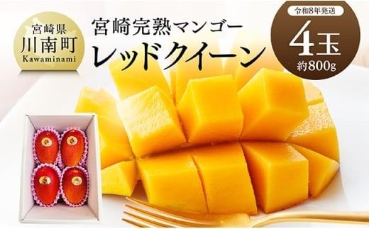 マンゴー [令和8年発送]宮崎県産完熟マンゴー 「レッドクイーン」4玉(800g) [ 果物 フルーツ マンゴー 宮崎県産 完熟マンゴー みやざきマンゴー 先行予約 数量限定 期間限定 ] [C03217]