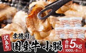 《業務用・訳アリ》国産牛　小腸　5kg 372013_HM181