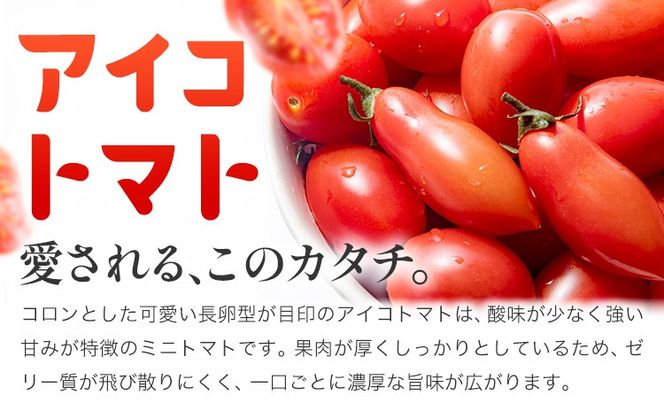 トマト アイコトマト ミニトマト 2kg GOGO農園 《11月上旬-5月末頃出荷》 和歌山県 日高川町 野菜 とまと サラダ カプレーゼ お弁当 青果物---wshg_gof42_11j5m_26_12000_2kg---