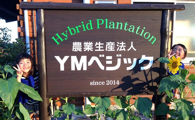 完熟ミニトマトジュース 1,000ml×2本 果汁飲料 野菜飲料 ジュース 美味しい 苦手 子供 飲める 癖 すっきり 栄養 健康 セット 