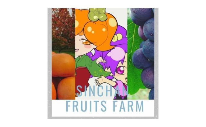 朝採り巨峰（約1.5kg）早期受付 クロレラ栽培 ぶどう 果物類 葡萄 フルーツ デザート ギフト 贈り物