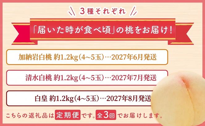 【 2027年 先行予約】 桃 岡山県産 どれも食べたい！岡山の桃 3種 満喫 プラン 3回 コースB ( 加納岩白桃 ・ 清水白桃 ・ 白皇 各1.2kg)《2027年6月下旬-8月中旬頃出荷》白桃 数量限定 期間限定 定期便