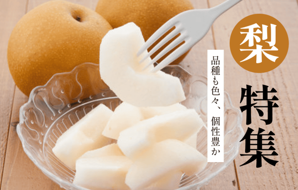 梨特集