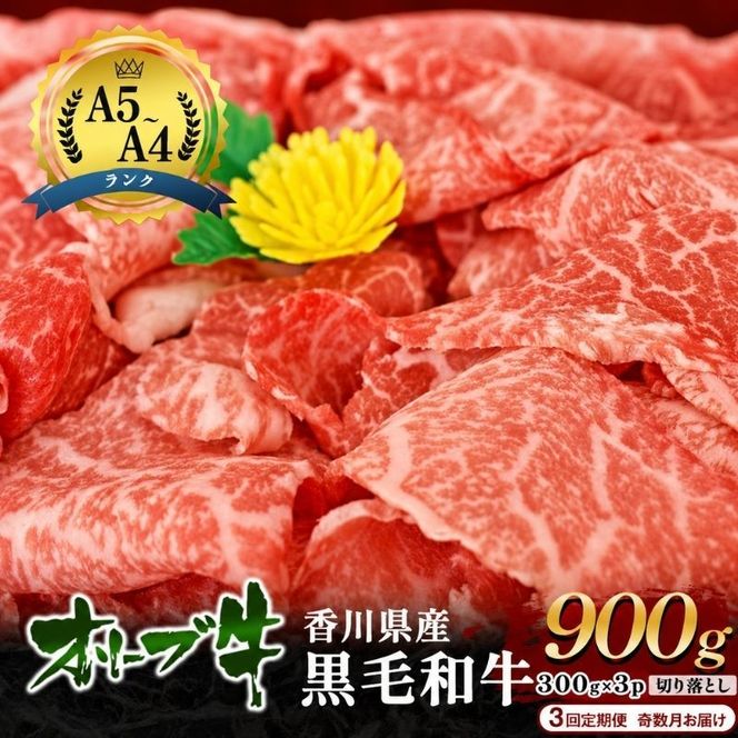 牛肉 定期便 3回定期便 奇数月お届け 隔月 オリーブ牛 黒毛和牛 香川県産 国産 切り落とし 900g 300g × 3p 焼きしゃぶ すき焼き 牛丼 肉じゃが 炒め物 鍋 定期 お楽しみ 3回 牛切り落とし A4 A5 和牛 牛 うし お肉 肉 香川 香川県 東かがわ市
