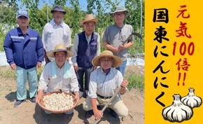 毎日食べて元気モリモリ！国東産乾燥にんにく0.8kg/こだわり減農薬栽培_2610R
