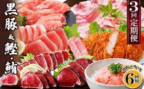 定期便3回配送　黒豚&かつお・まぐろ　QQ-0001 【1512238】